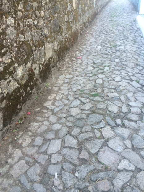 The not so foot friendly Portuguese cobble stones