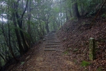 The path to Temple 20, Kakurinji