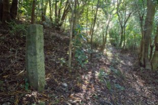 Short forest path leading to Nagai zaka slope, Ohechi route