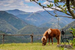 A pony and a stunning view from the garden of Coffee Keyaki Cafe, Takahara