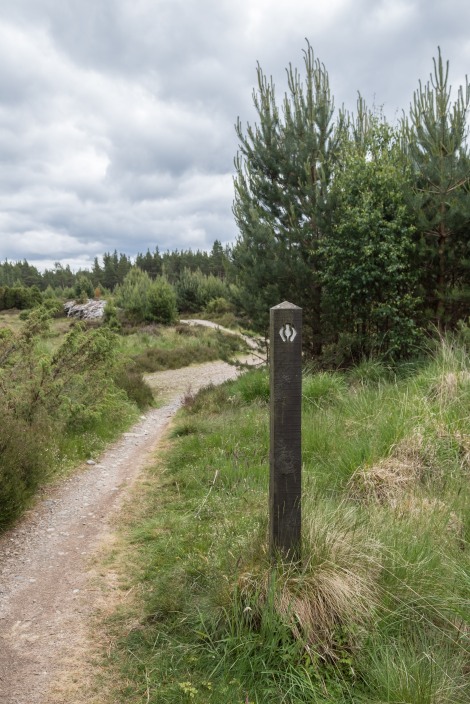 Waymarks are quite sparse on the Speyside Way, here's one in the Abernethy Forest National Nature Reserve