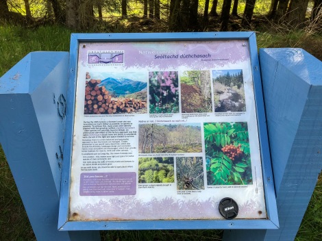 Information panel about the forest